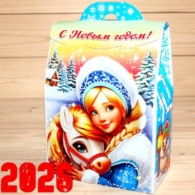 Детский новогодний подарок 2026 в Ногинске
